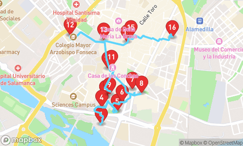 Historic Splendor and Cultural Riches: A Walking Tour Through Salamanca tour map